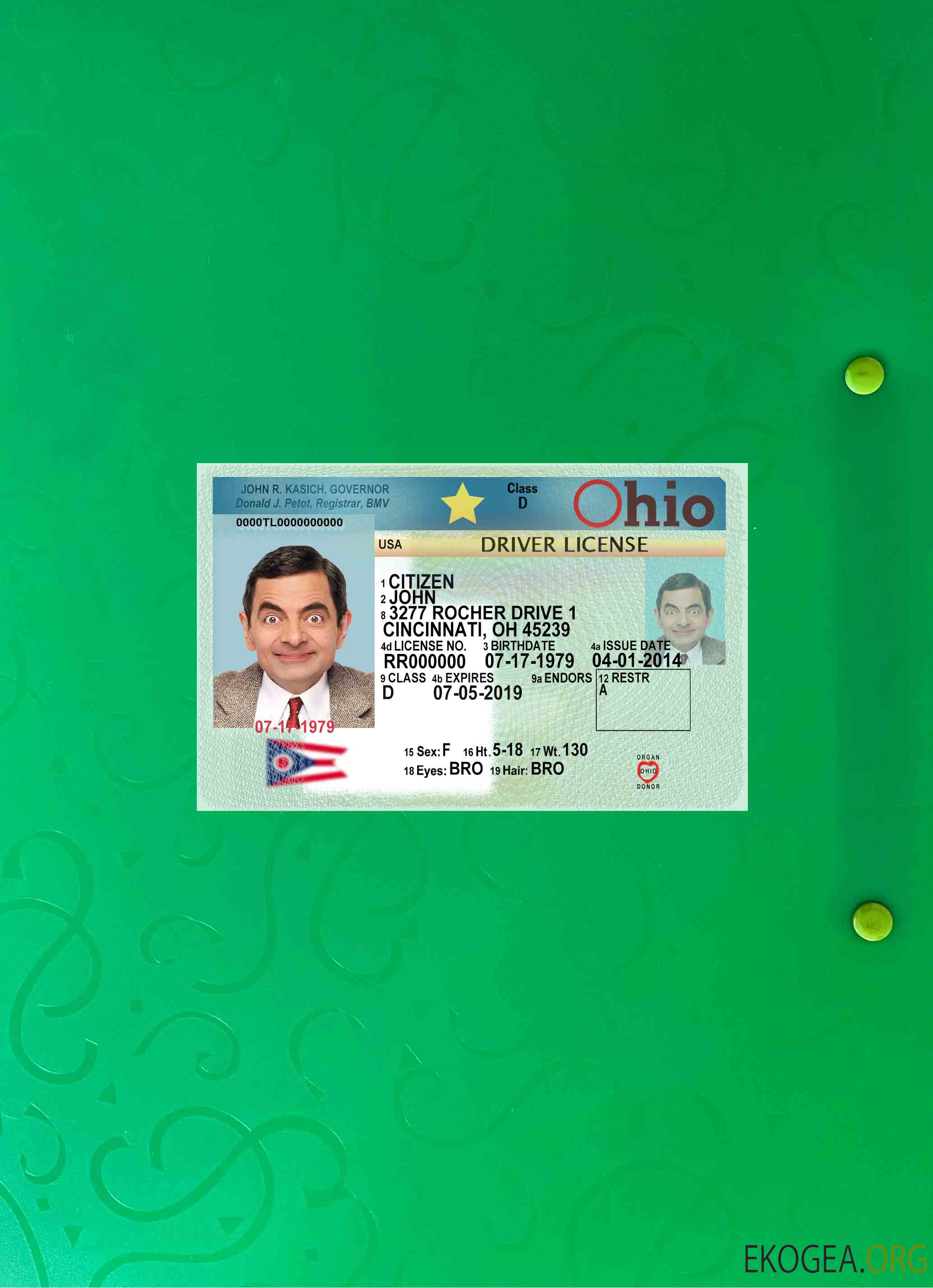 Permis de conduire USA Ohio 2018 présent photolook AVANT